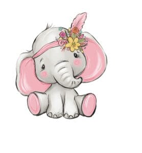 Elefant3