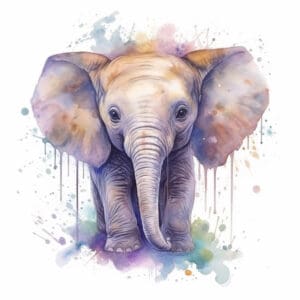 Elefant Aquarell 1