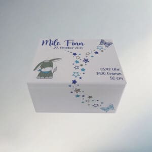 Erinnerungsbox personalisiert – zwei Schmetterlinge in Blau und Grau mit süssem Esel, der einen blauen Schal trägt – liebevolles Geschenk zur Geburt oder Taufe